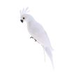 Maxbell 2x Realistic Parrot Artificial Feather Bird Animal Ornament White & Rose Red Online now